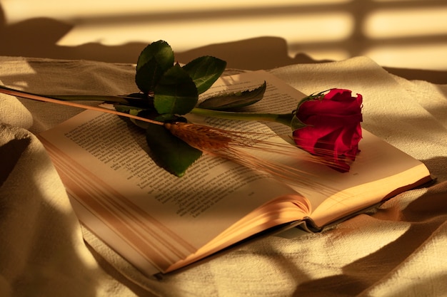 Foto stilleven van sant jordi voor de dag van boeken en rozen