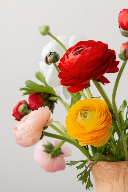 Foto stillevenassortiment van binnenlandse bloemen in vaas