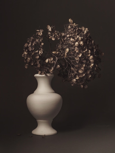 Photo stilllife with dry flowers in a vase on a grey background  fine art