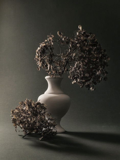 Stilllife with dry flowers in a vase on a grey background  Fine art