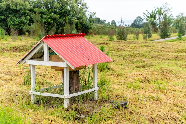 Stingless bees or trigona meliponini hive industry A colony of stingless bees on beehive