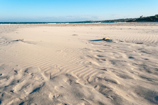 Stintino beach la pelosa in a sunny windy day