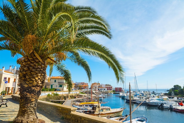 Stintino haven op een bewolkte dag Sardinië