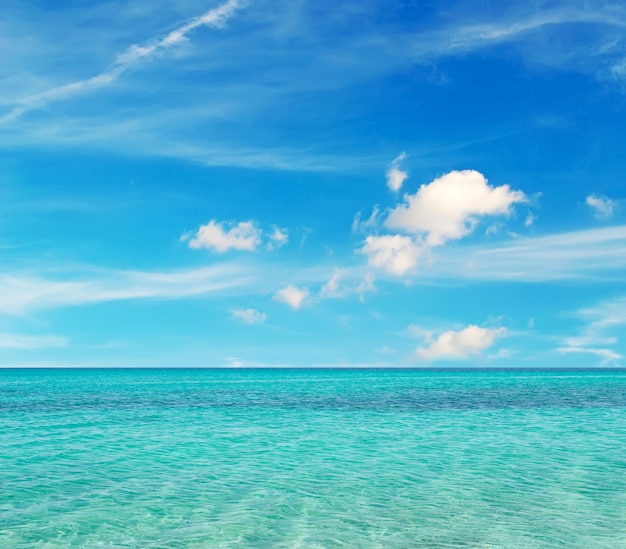 Stintino shore on a clear day