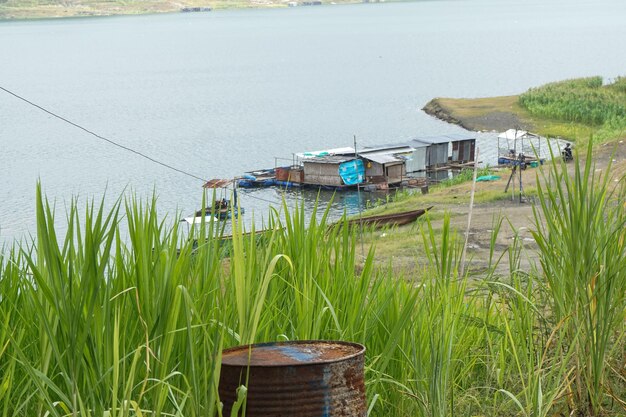 Stock photo of nature in the village