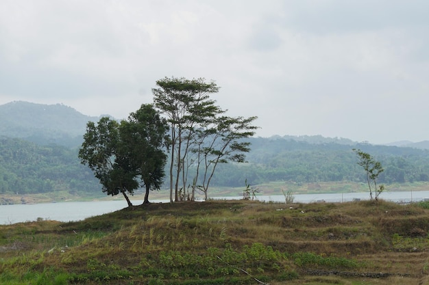 Stock photo of nature in the village