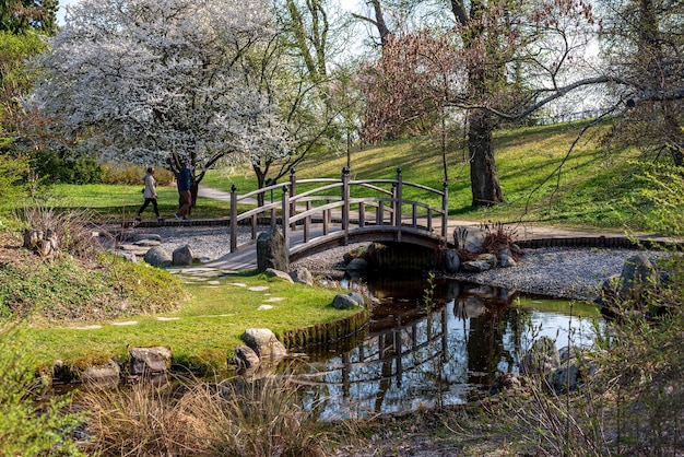 Stockholm Bergianska tradgarden Bergian Garden of Hortus Bergianus 20190428 Landschap Botanische tuin in het voorjaar