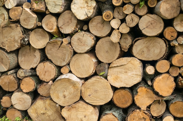 Заполнение дров. Куча круглых лесоматериалов