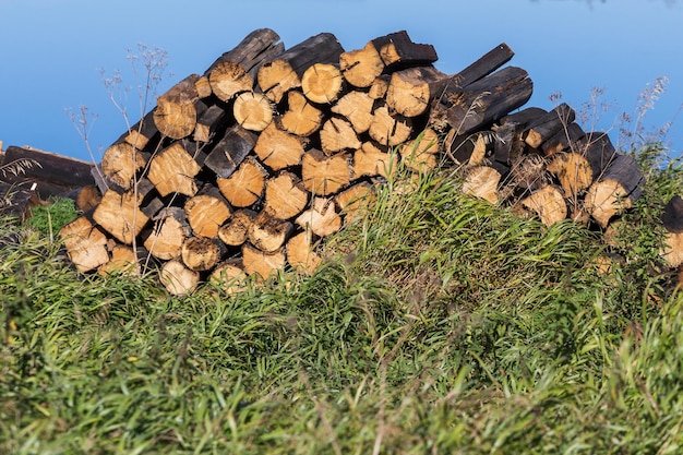 Stocks of firewood for the winter background texture