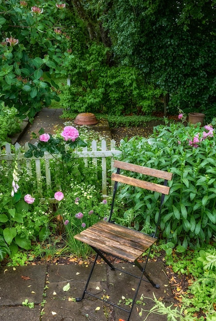 Stoel in een weelderige tuin voor een rustig rustgevend uitzicht en frisse lucht buiten Levendig landschap van een park of achtertuin met een zitje tussen bloeiende planten Een rustige plek in een groene omgeving