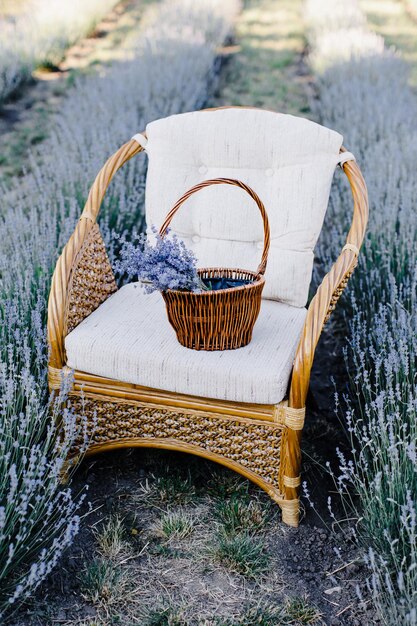 Stoel met een mand met bloemen in een lavendelveld