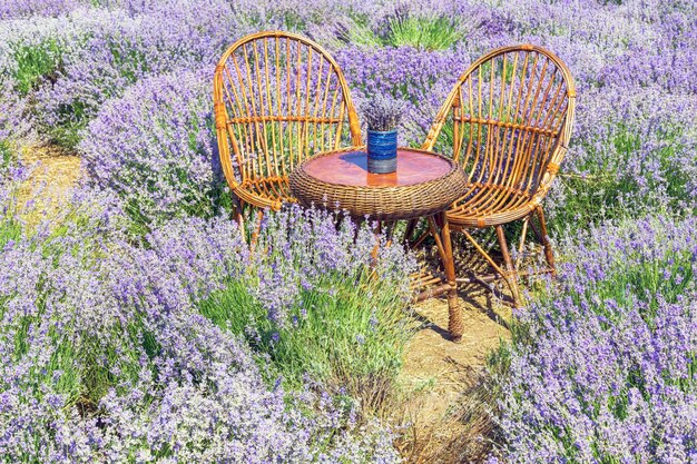 Stoelen en tafel op het lavendelveld