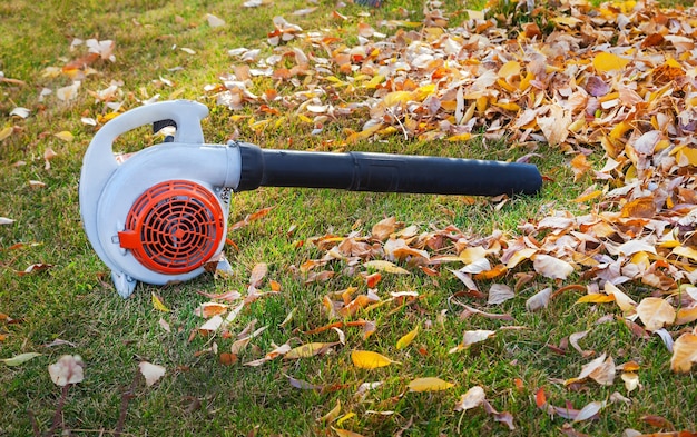 Stofzuiger voor het reinigen van bladeren op het gazon in het herfstpark.