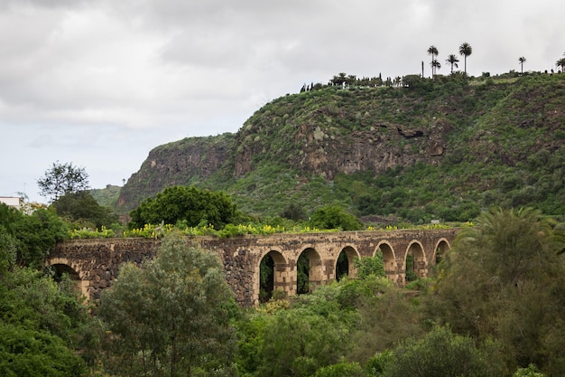 スペインのグランカナリア島の曇りの日に植物園のそばの自然の緑地にある石の水道橋