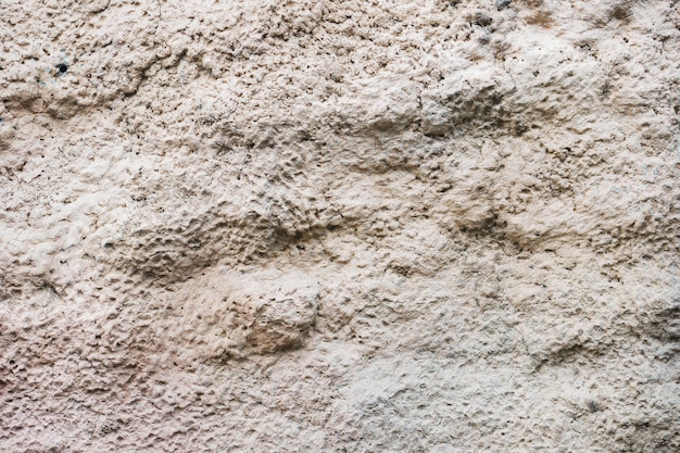 Stone background cement texture. 