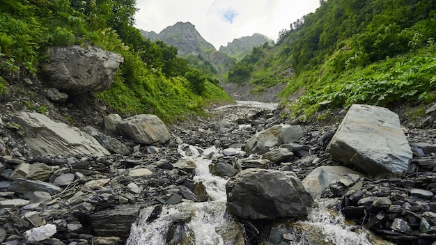 Letto di pietra del fiume, estate a sochi