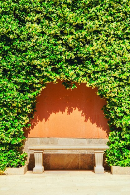 Каменная скамейка под декоративными зелеными растениями в парке. Летняя природа фон