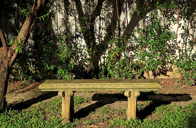 Banco di pietra sotto l'albero alla luce del sole, giardino tropicale