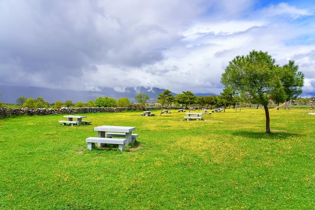 Каменные скамейки для сидения в парке с зеленой травой и желтыми цветами гуадаррама мадрид
