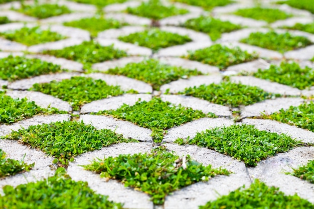 Stone block walk path in the park with green grass