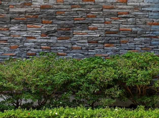 Stone brick wall vintage background with green leaves wall