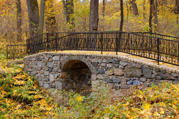 Autunno d'annata degli alberi gialli della ringhiera del ponte di pietra.