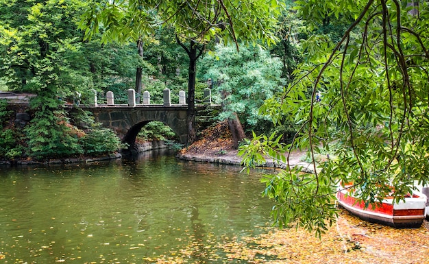 公園の秋の川の石の橋