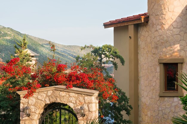 Stone building with a gate and a beautiful flowering tree