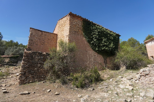 A stone building with a green ivy on the side