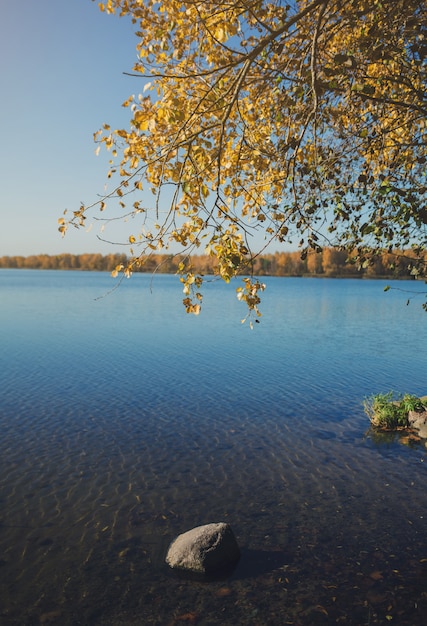 Foto pietra in un lago calmo