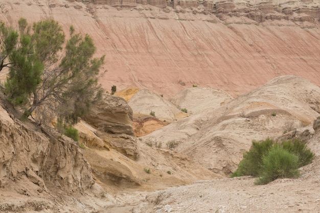 stone canyon in the desert mountains AltynEmel Kazakhstan Almaty