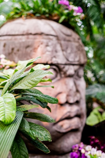 Stone carved totem with human face among tropical plants