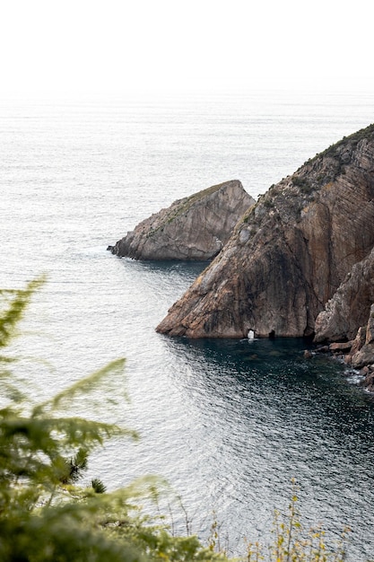 Stone cliff entering the sea with vegetation