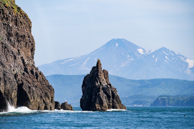 写真 太平洋の島の石の崖。カムチャッカ半島の野生動物。ロシア極東