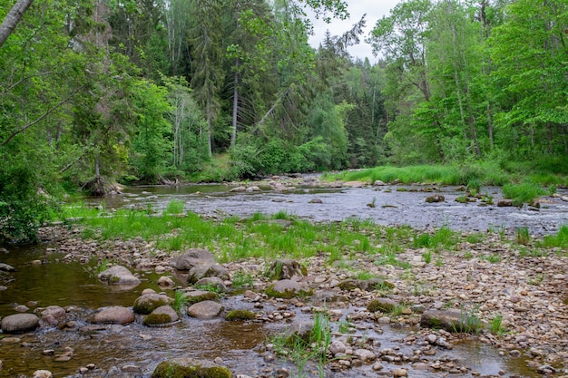 Photo stone coast of river. stream with rocky bank.