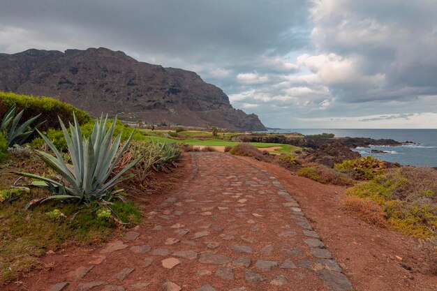 Stone coast with cliffs of the Atlantic Ocean at sunrise Tenerife Canary Islands Spain