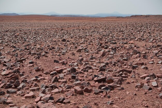 Фото Каменная пустыня в намибии африка национальный парк этоша