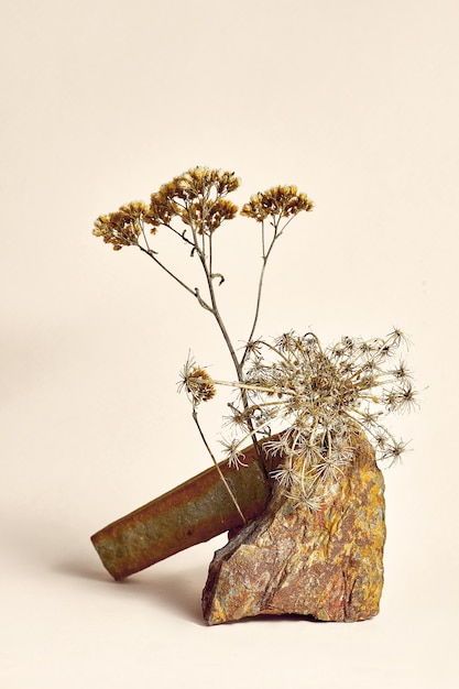 Photo stone and dry flower for displaying cosmetics. abstract composition of natural textures with stones and dry branches on a neutral background. mock up