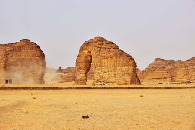 Stone Elephant in de woestijn dichtbij Al Ula