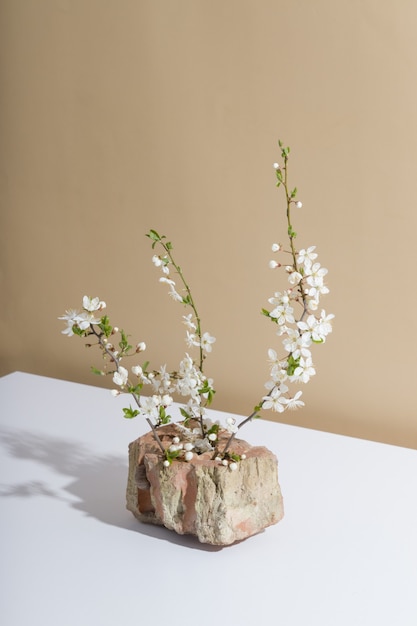 Stone and flowering branches - creative spring still life with hard shadows
