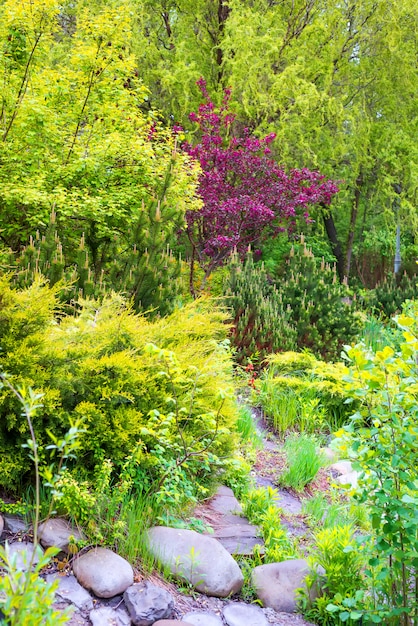 Stone footpath among fresh spring green plants with colorful blooming.