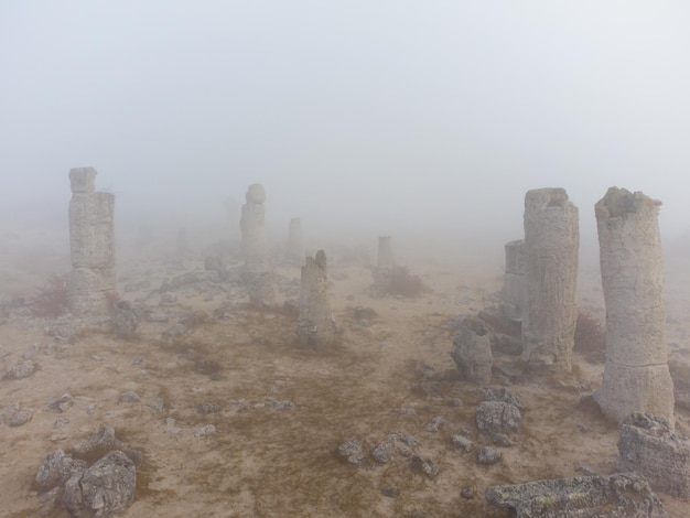 Stone forest Pobiti Kamani in the fog Varna Bulgaria