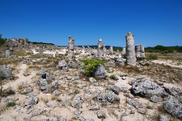 Каменный Лес, Побити Камани в Варане, Болгария