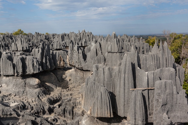 Tsingy de bemaraha 자연 보호 구역 마다가스카르의 돌 숲