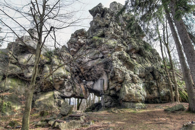 Stone gate at the ruins of the castle Milstejn