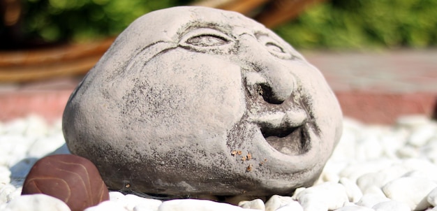 Stone head on the field