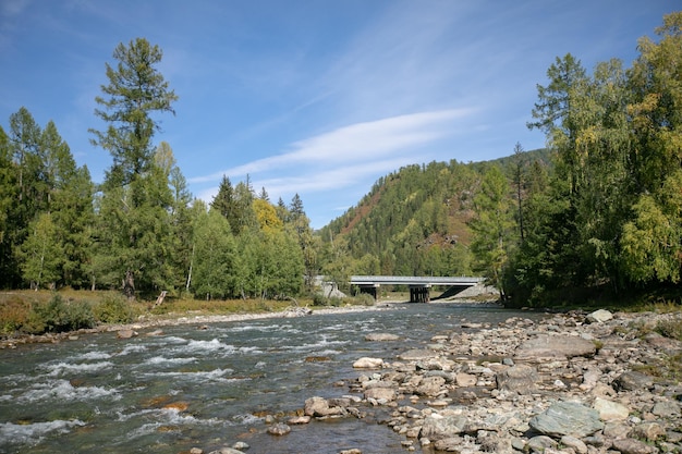 Каменный горбатый мост через реку на природе