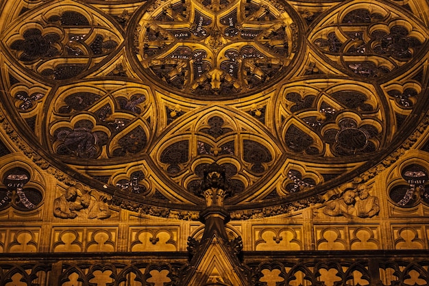 Foto merletto in pietra di grande vitrage sopra l'ingresso della cattedrale gotica di san vito di notte