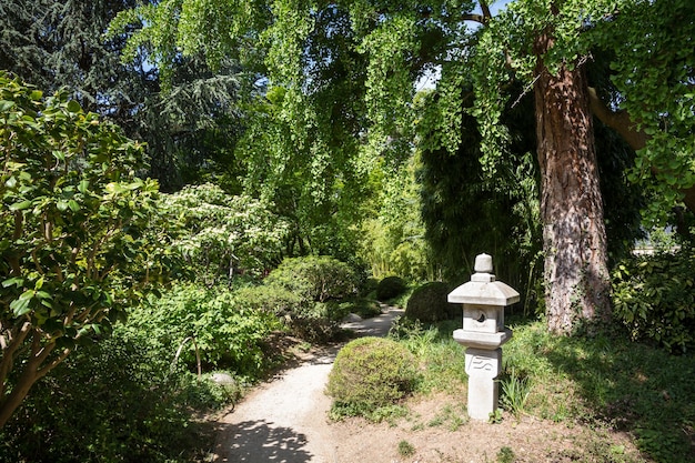 Stone lamp in a japanese garden