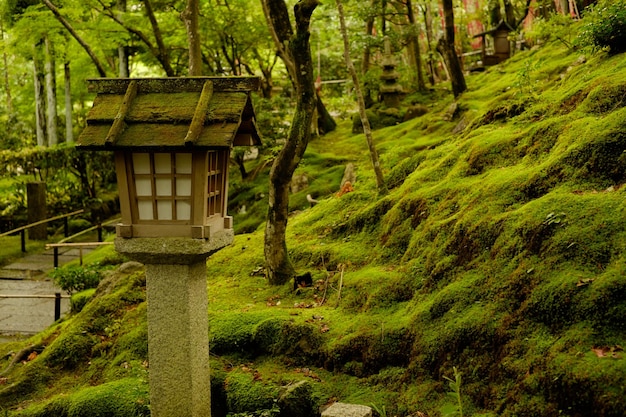 Photo stone lantern by moss covered rocks at japanese garden